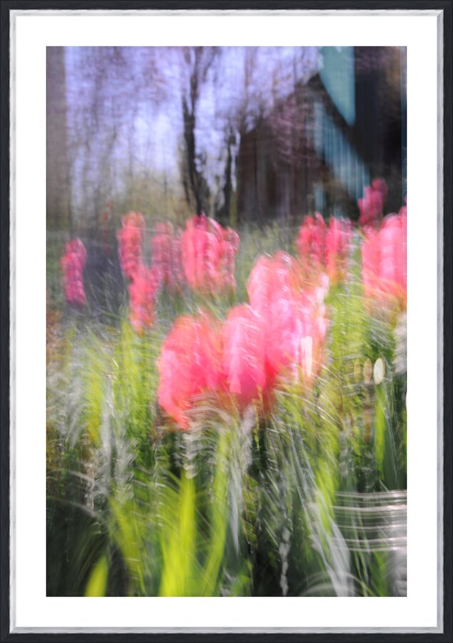 Garden in Fall Picture Frame print