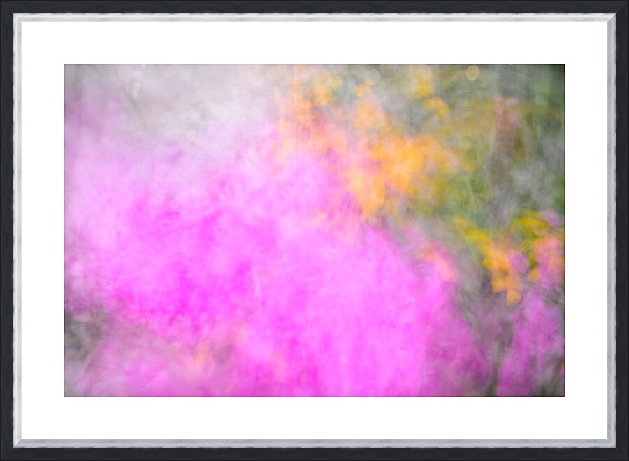 Flower Bed Picture Frame print