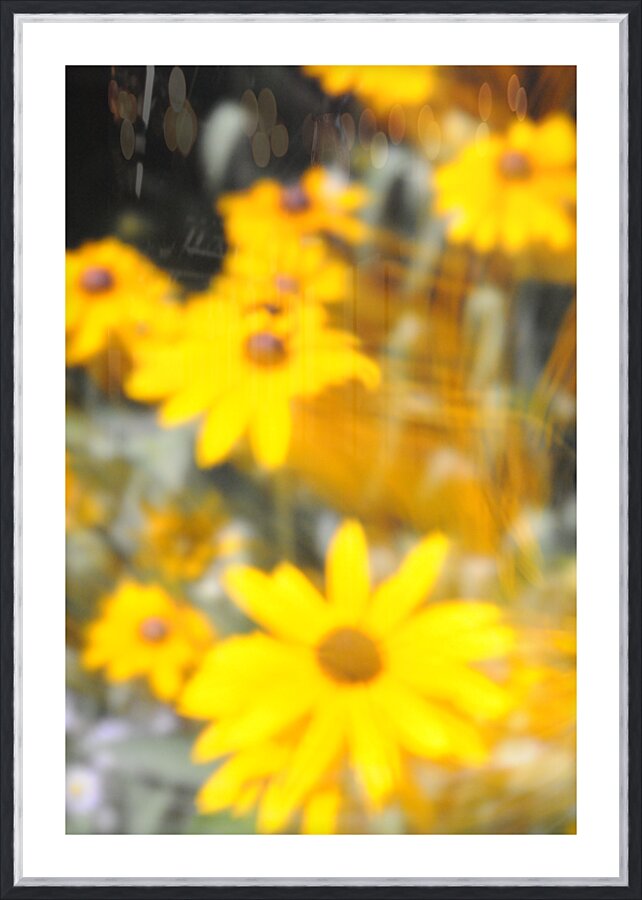 Soft Yellow Flowers Picture Frame print