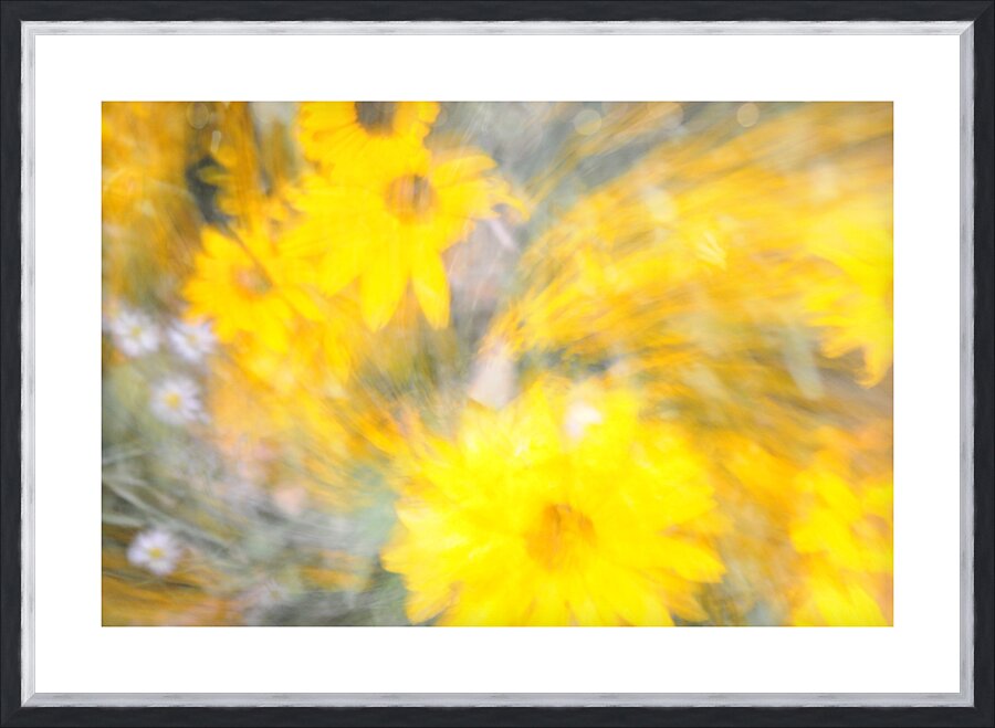 Yellow Flowers Picture Frame print