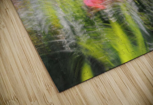 Garden in Fall Peter Sturgis puzzle
