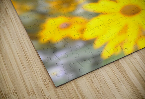 Soft Yellow Flowers Peter Sturgis puzzle