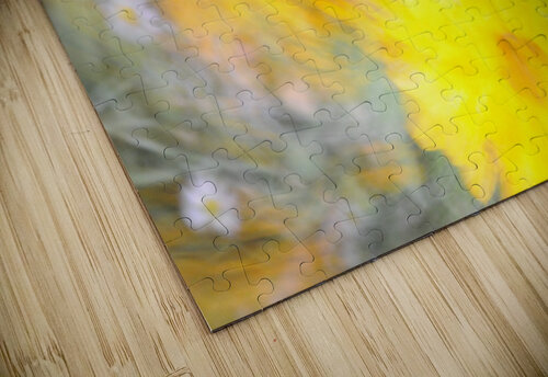 Yellow Flowers Peter Sturgis puzzle