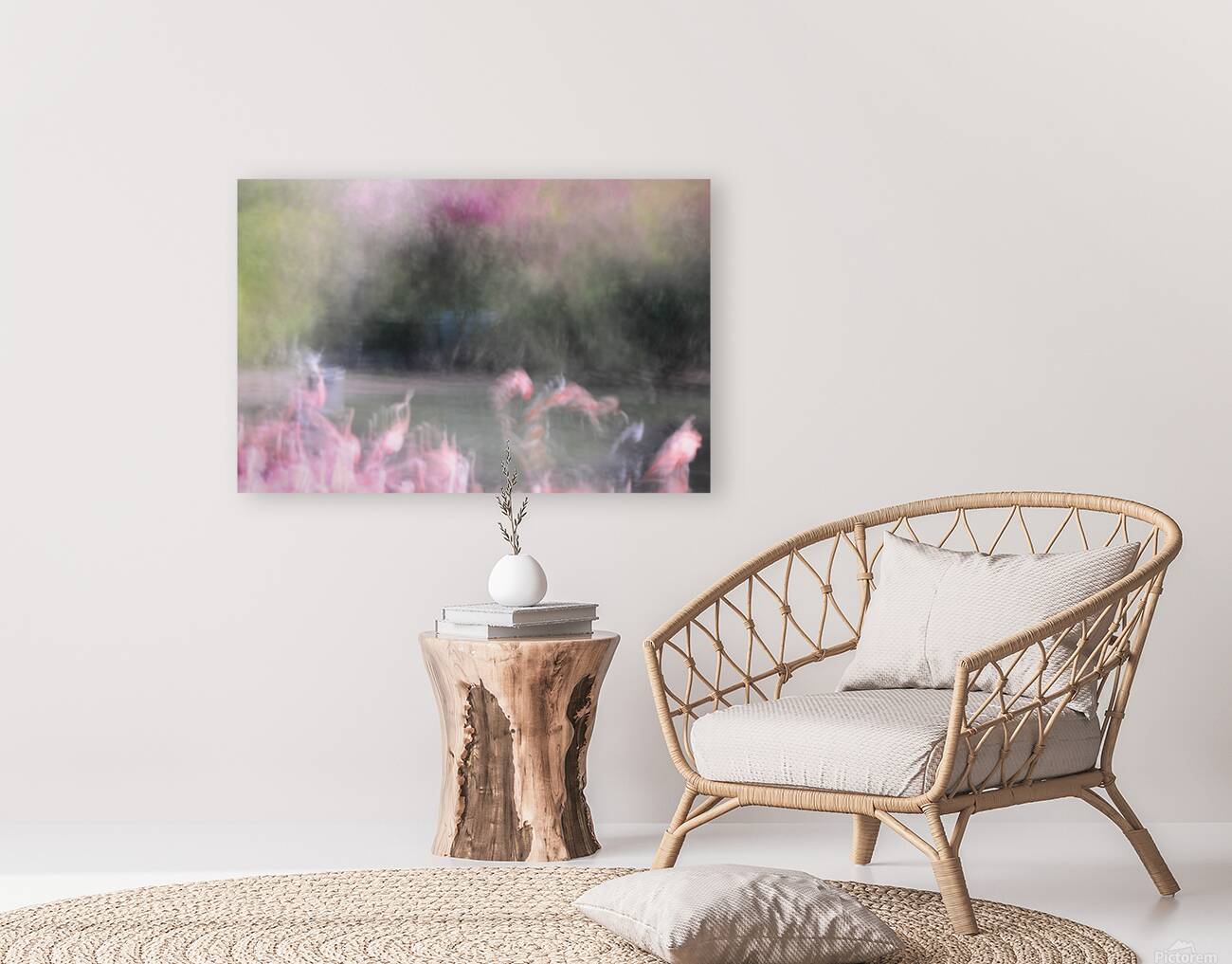 Flamingos Reproduction
