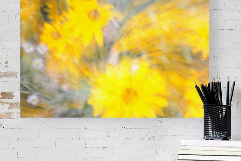 Yellow Flowers by Peter Sturgis