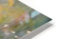 Flower Bed HD Metal print