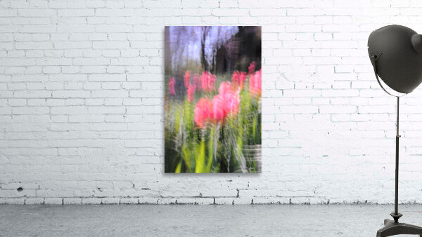 Garden in Fall Wall Preview