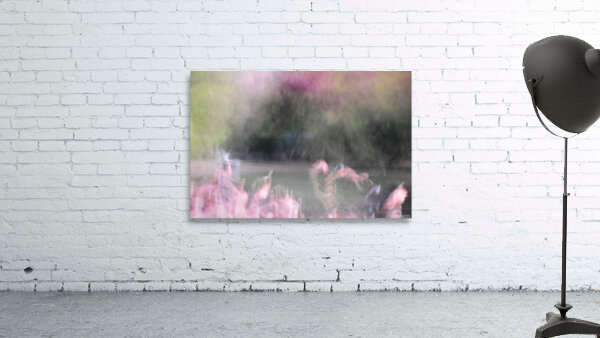 Flamingos Wall Preview