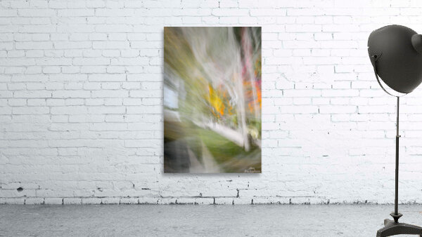 Window Reflection Wall Preview