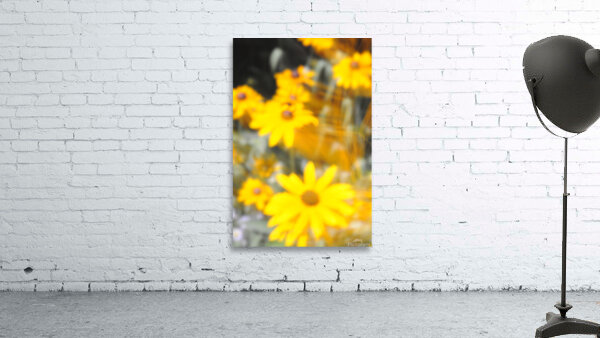 Soft Yellow Flowers Wall Preview