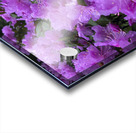 Azalea Medley Acrylic print