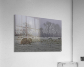 First Frost Acrylic Print