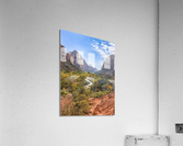 Zion Winding Stream Acrylic Print