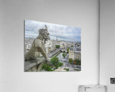 The Watcher Acrylic Print
