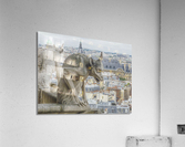 The Lonely Observer   Acrylic Print