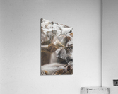 Winter Solace 7 Acrylic Print