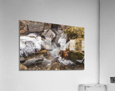 Winter Solace 15 Acrylic Print