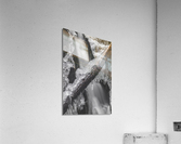 Winter Solace 9 Acrylic Print