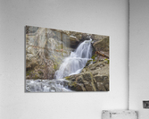 Black Rock Roots Acrylic Print