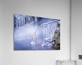 Ice Dreams Acrylic Print