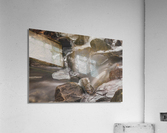 Winter Solace 3 Acrylic Print