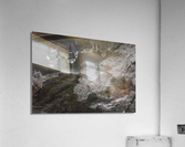 Winter Solace 4 Acrylic Print