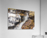 Winter Solace 14 Acrylic Print