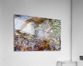 Winter Solace 18 Acrylic Print