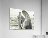 Contemplating V Acrylic Print