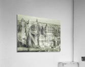 The Lonely Observer V Acrylic Print