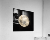Wolf Moon Acrylic Print