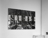 Winters Coming Acrylic Print