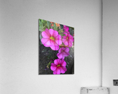 Spring Portrait Acrylic Print