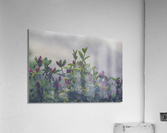 Evening Tips Acrylic Print