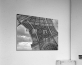 Champslyses Underside Acrylic Print