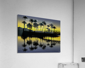 Palms at Dawn Reflections Acrylic Print