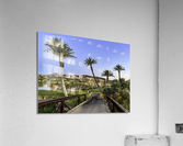On the Path Acrylic Print