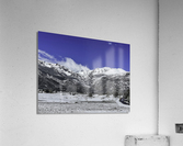 Mountain Meadows Acrylic Print