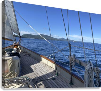 Cut to Port Canvas Print