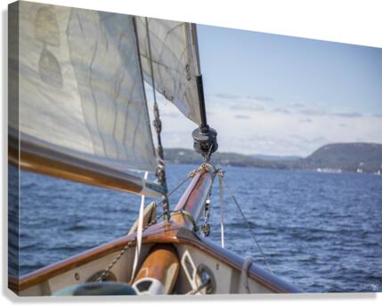 Let s go Sailing  Canvas Print