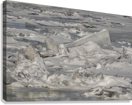 Hudson River Ice Pack Canvas Print