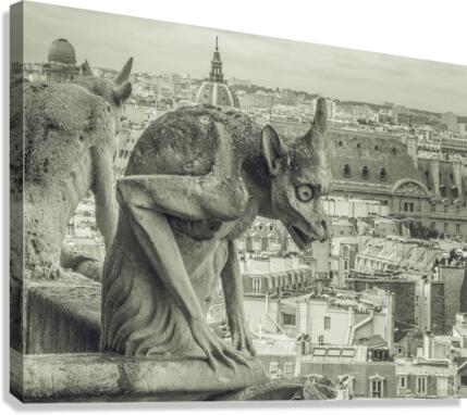 The Lonely Observer V Canvas Print
