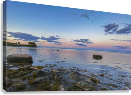 Tenants Bay Sunset Canvas Print