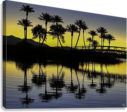 Palms at Dawn Reflections Canvas Print