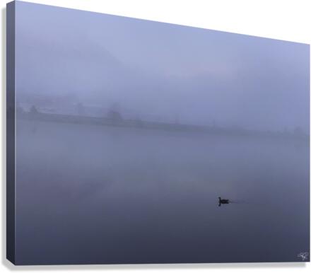 Lonely Lake Canvas Print