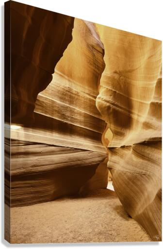 Antelope Big Top Canvas Print