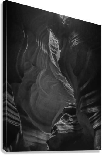 Swirling Shadows BW Canvas Print