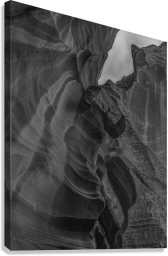 Antelope Winged Creature BW Canvas Print