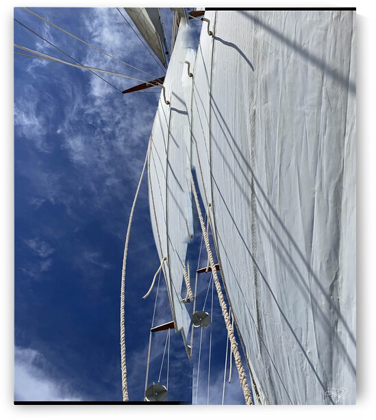 Trim the Sheets by THOMAS PATRICK KENNEDY