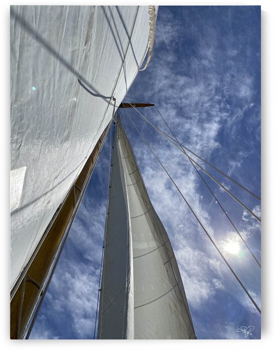Sails and Sun by THOMAS PATRICK KENNEDY
